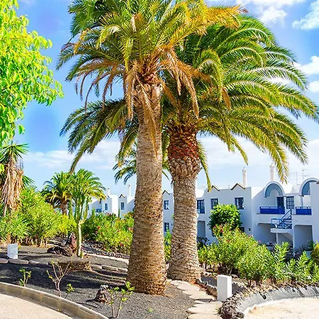 호텔 Bakour Lanzarote Splash 4*